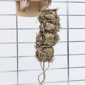 Lorem ipsum dolor sit amet