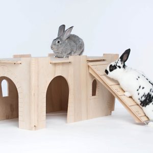 Lorem ipsum dolor sit amet