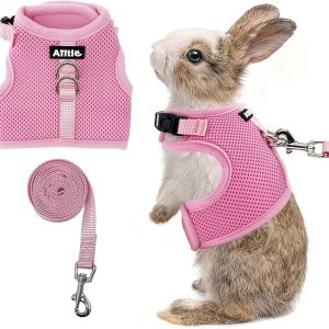 Lorem ipsum dolor sit amet