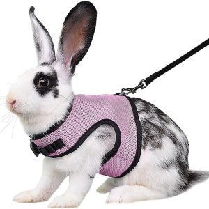Bunny Harness and Leash, Escape Proof Rabbit Harness and Leash Set, Cute Bunnies Vest Clothes Stuff Accessories, Suit for 7+ Months Rabbit/Ferret, XL